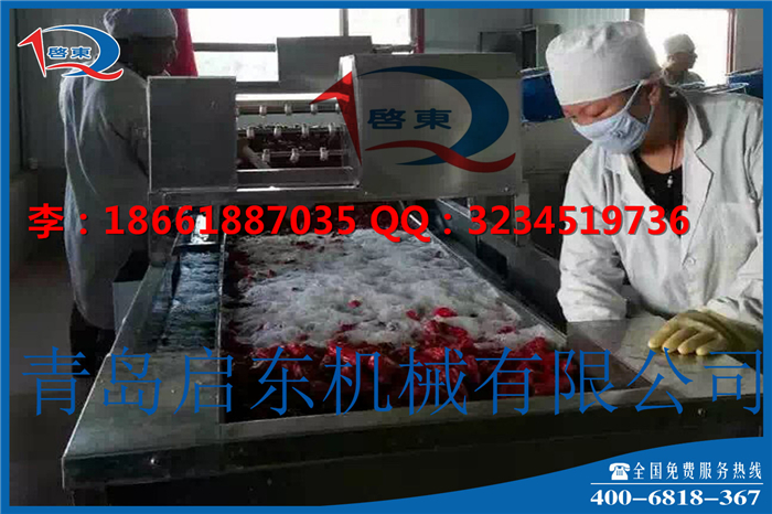 辣椒清洗设备 启东机械辣椒清洗机供应商