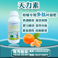 柑橘喷什么叶面肥好柑橘保果叶面肥果树专用多肽叶面肥