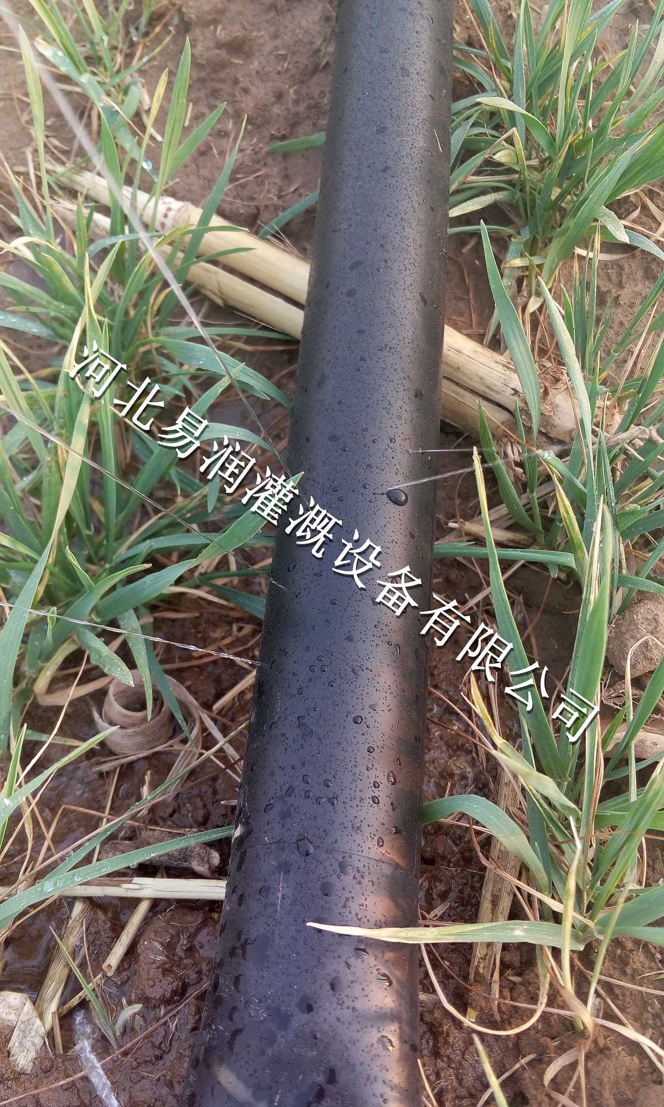 陕西榆林微喷带厂家直销|水龙带环保设备