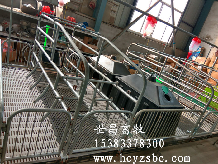 沧州世昌畜牧机械出售2.4*3.6双体母猪产床生产厂家