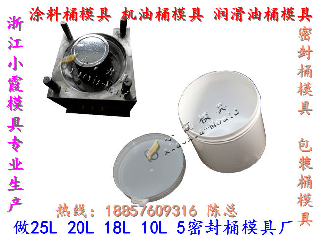 浙江做19L自动脱模包装桶模具，19L自动脱模胶水桶模具价格