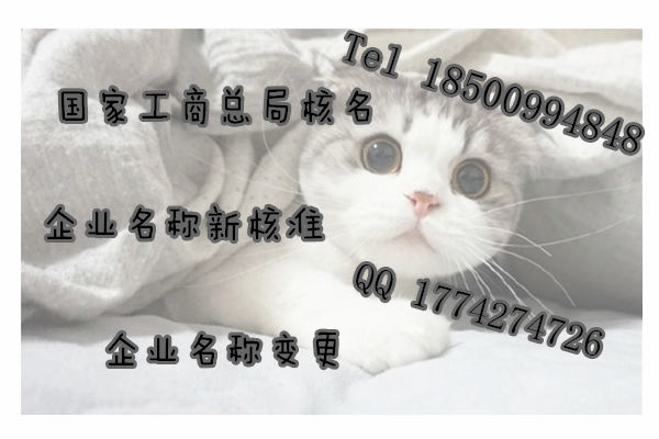 企业名称登记及核准