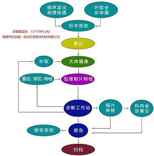 病理信息管理系统 病理科工作站 液基信息系统 皮肤信息系统