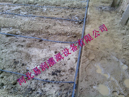 迷宫式滴水带重量轻 安装方便|山西圆白菜贴片式滴灌带大田