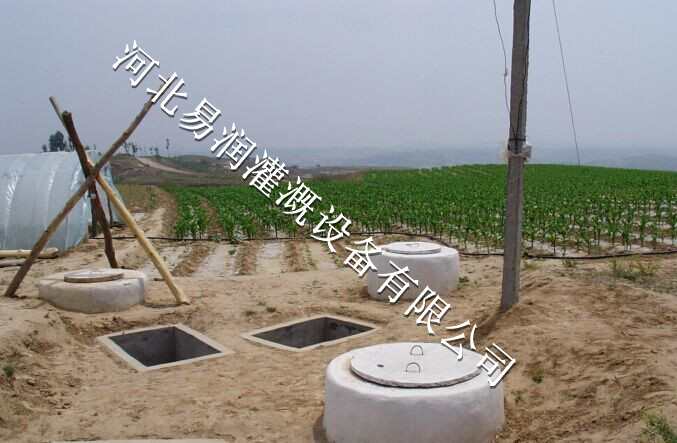 节水、节肥、省工贴片式滴灌带[山西圆白菜滴水带]