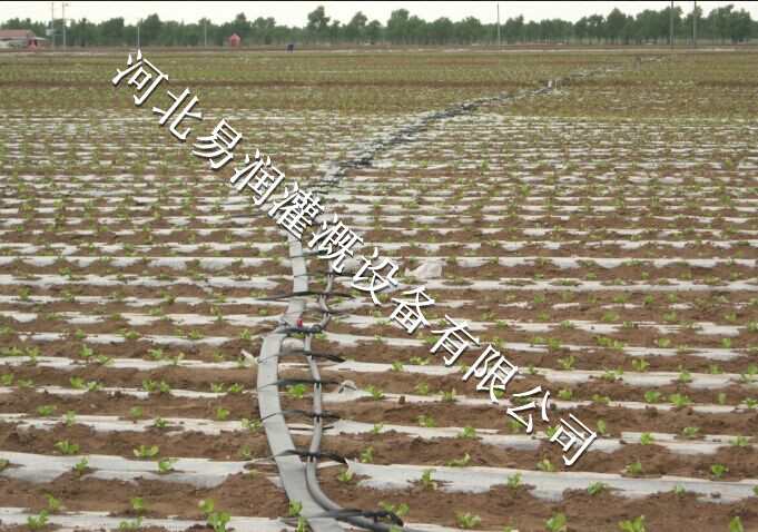 款式齐全山西圆白菜滴水带 贴片式滴灌带环保