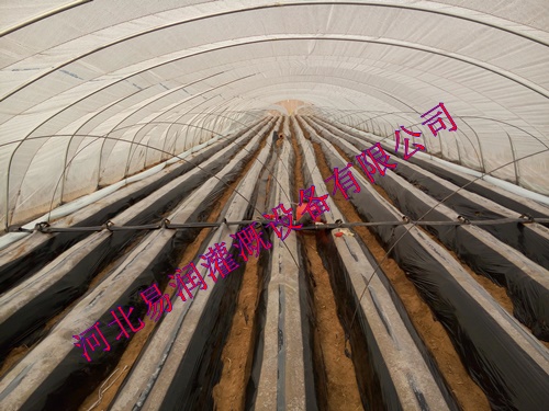 使用方便贴片式滴灌带 山西圆白菜滴水带品质优良