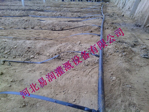 信誉可靠山西圆白菜贴片式滴灌带 滴水带坚固耐用