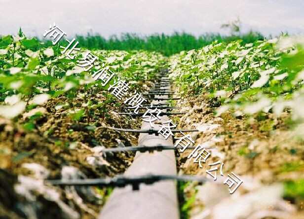 山西圆白菜滴水带重量轻 贴片式滴灌带水肥一体化