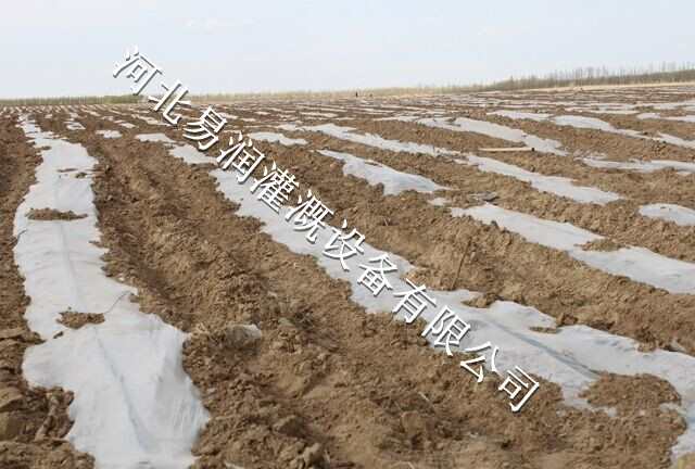 抗堵塞能力强滴水带 山西圆白菜贴片滴灌带出水均匀