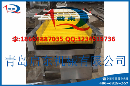 黄瓜清洗机,西红柿清洗设备,角瓜清洗机器厂家