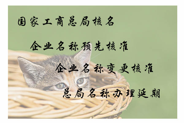 国家工商总局企业名称核准预先核准名称延期