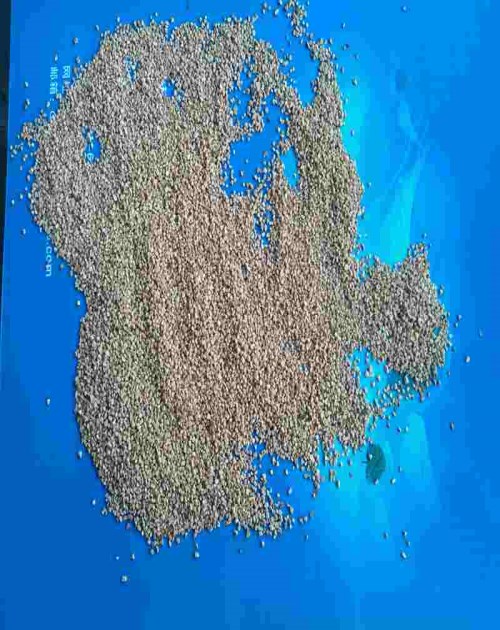 哪里有核桃壳价格/河南核桃壳规格/哪里有核桃壳