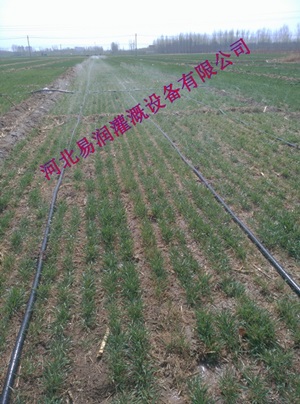 山西中草药大田微喷带-喷水带-输水带价格及参数