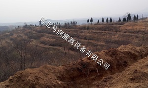 山西中草药微喷带价格低廉，输水带值得人们信赖！