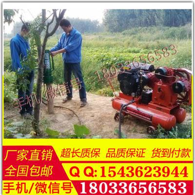 防汛打桩机防洪抗洪防汛植桩机打木桩用什么机