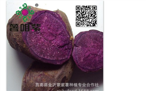 紫薯高产栽培管理技术紫薯种苗新品种推广