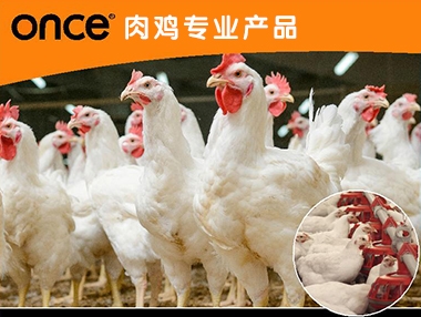 百韧斯贸易专业从事养猪照明灯、养猪取暖器、养猪保温箱生产与