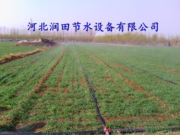 蔬菜灌溉多孔软带 山西永济喷灌带2017报价