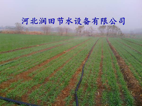 多孔软带|山西永济带孔喷灌带 