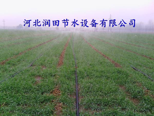 水肥一体化喷灌带|特价 山西永济微喷带