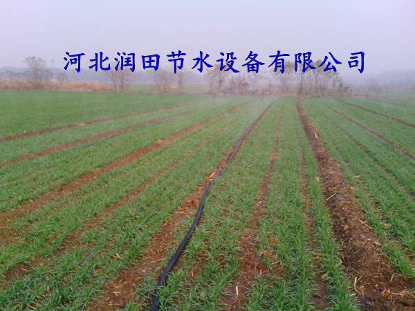 喷灌带+PE软带|山西永济多孔软带产销安装厂家