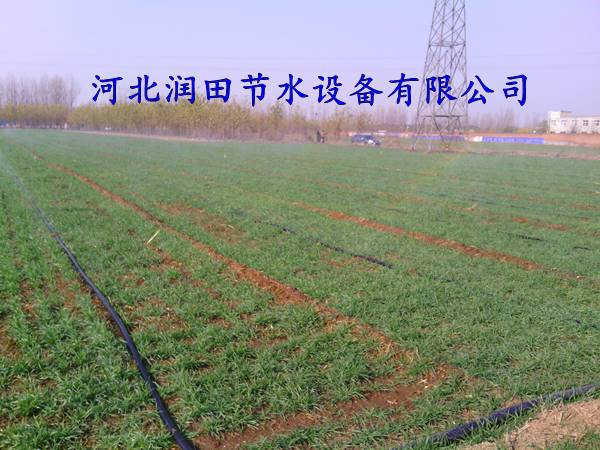 喷灌带+施肥罐+网式过滤器|山西永济多孔软带及设备