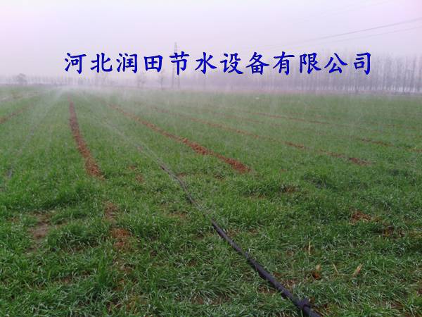 优惠酬宾山西永济微喷设备多型号多孔软带|喷灌带