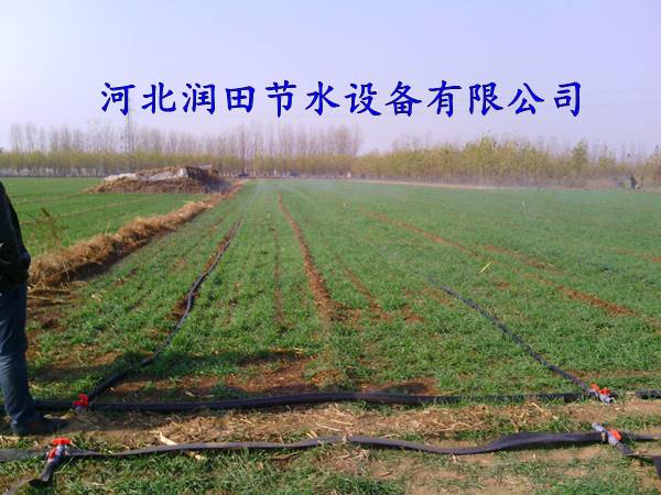 喷灌带&山西永济微喷系统厂家配置&多孔软带