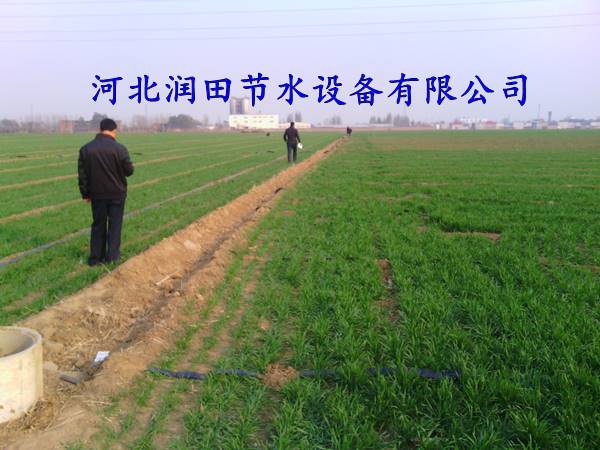 喷灌带|山西永济多孔软带工程设计铺设