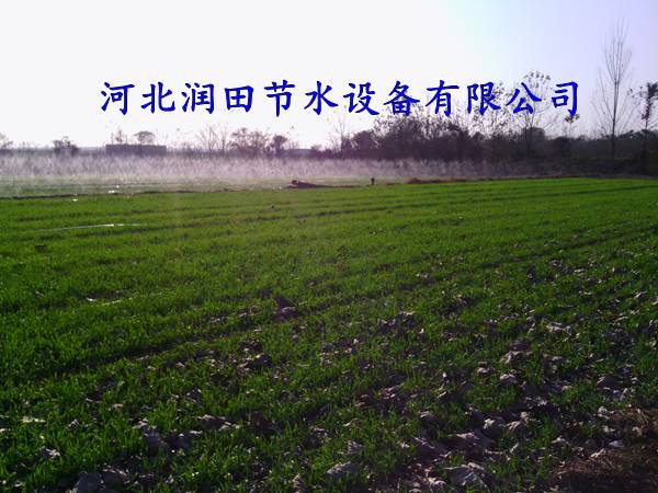 大田微喷价格|山西永济多孔软带网式过滤器
