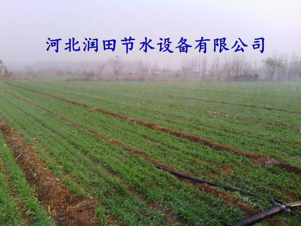 山西永济大田微喷带整套设备|多孔软带+PE管