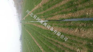 量大从优喷灌带、稳流器|河北蔬菜微喷带
