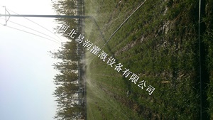 河北蔬菜微喷带|喷灌带优惠促销