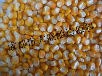 收购高粱大米玉米原料