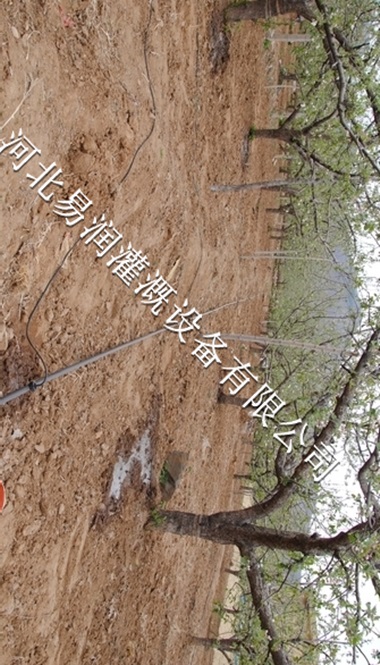 16mmPE管材料、山西梨树果树滴灌设备