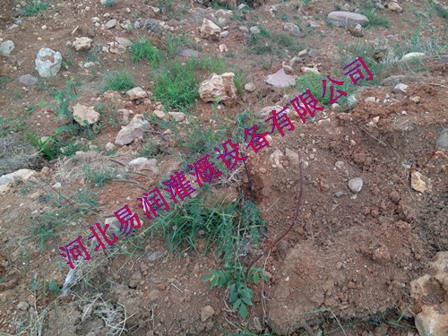 山西梨树果树滴灌|16mmPE管质优廉价