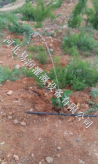 【16mmPE管】山西梨树果树滴灌人工安装费用低