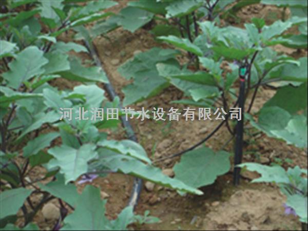 山西长治县大棚滴灌放心实惠灌溉用滴灌带