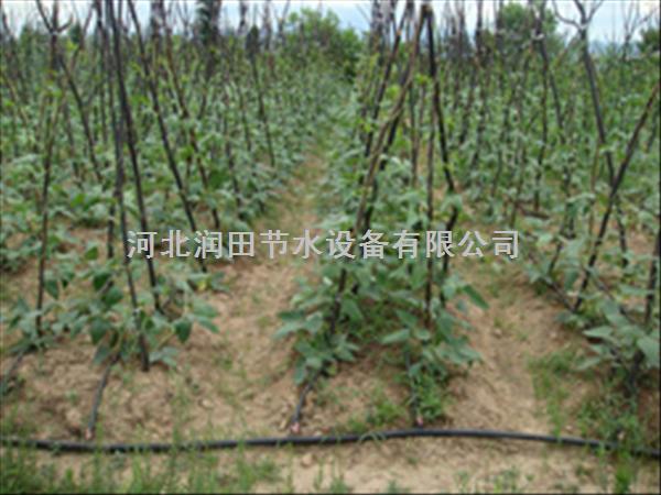 山西长治县豆角灌溉滴灌带【包装及价格】