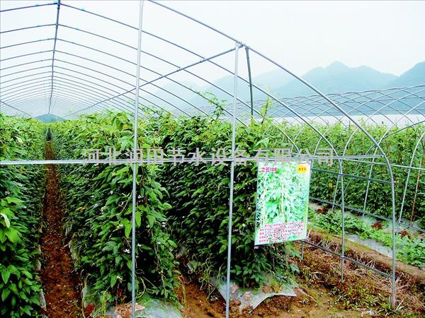 【大棚滴灌带】山西长治县蔬菜灌溉设备【规格】