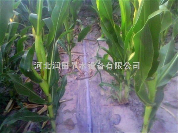 【滴灌厂家】山西长治县红薯灌溉设备优惠促销