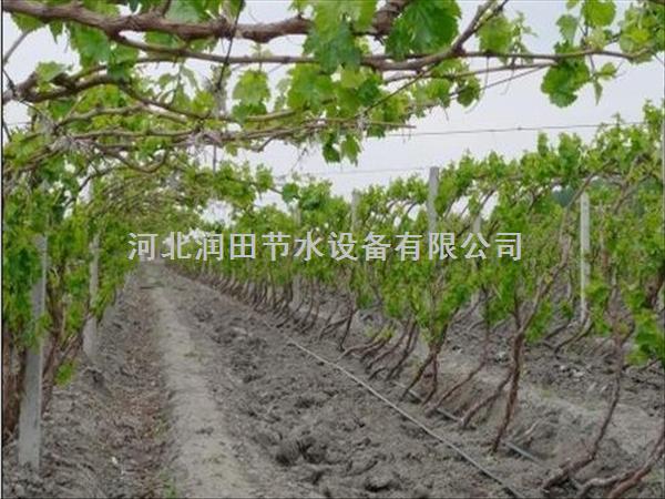 山西长治县茄子大棚滴灌带|千亩地报价
