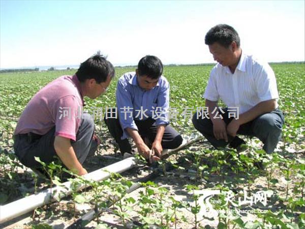 山西长治县青椒大棚如何安装滴灌带|设计分析