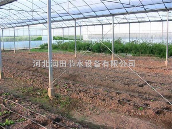 山西长治县大葱大棚滴灌|指导安装