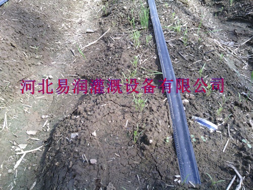 陕西棉花大田滴灌设备|长期供应滴带PE管