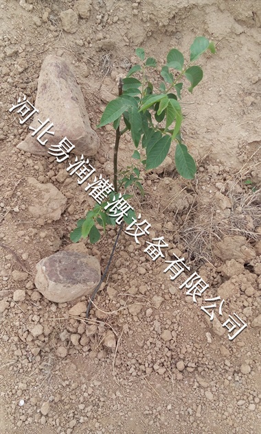陕西梨树16mmPE管专用 小管出流规格-厂家