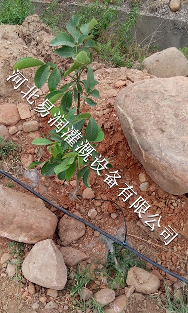 陕西梨树16mmPE管、山区滴灌滴水管、小管出流系列