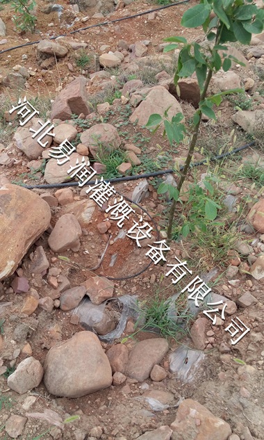 16mmPE管、小管出流|陕西梨树16mmPE管水肥一体化