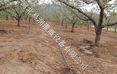 陕西梨树小管出流经久耐用 16mmPE管厂家价格